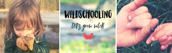 wildschooling